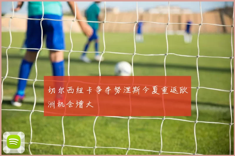 切尔西纽卡争夺努涅斯今夏重返欧洲机会增大