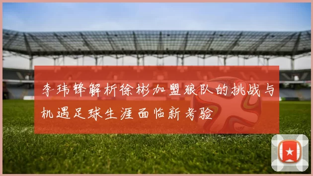 李玮锋解析徐彬加盟狼队的挑战与机遇足球生涯面临新考验